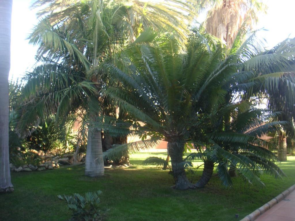 Villa Al Alba Torre Del Mar Exteriör bild