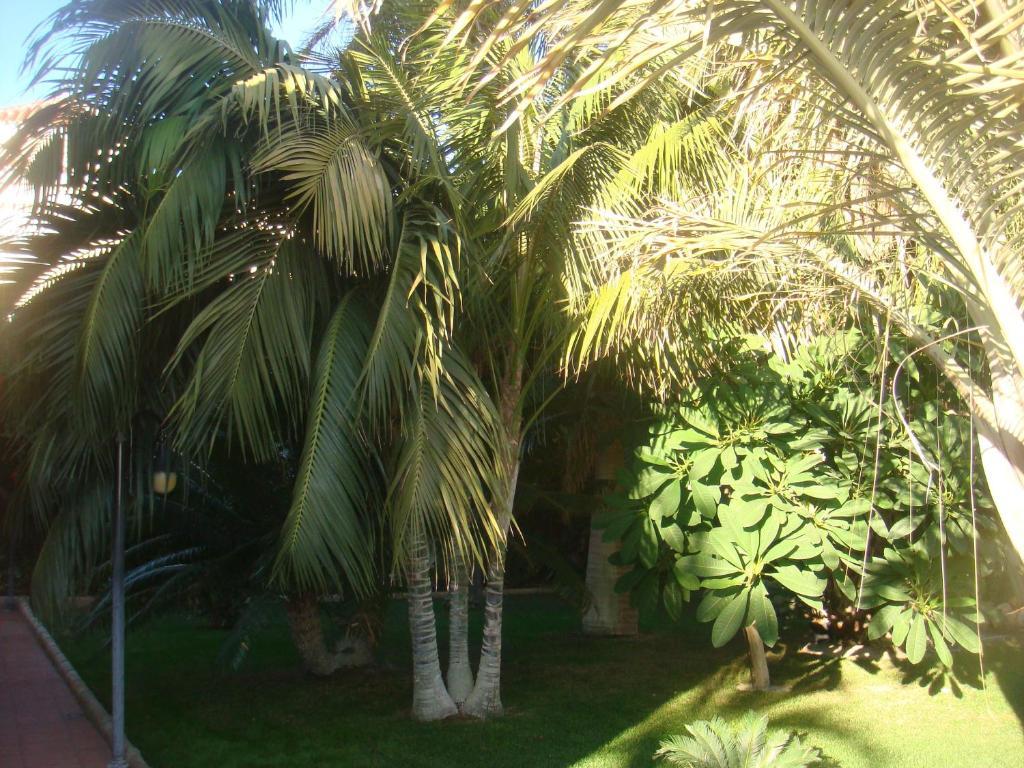 Villa Al Alba Torre Del Mar Exteriör bild